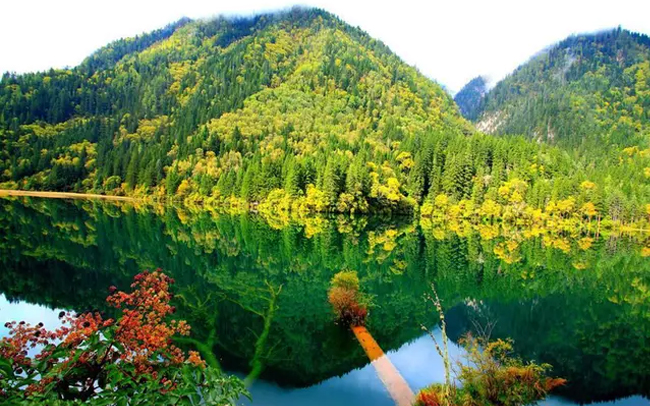 Thắng cảnh thần tiên được giấu kỹ trong chốn núi rừng ở Trung Quốc: Được ví như Tiểu Cửu Trại Câu, như mở ra khung cảnh chỉ có trong cổ tích