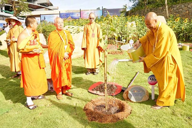 108 cây bồ đề thỉnh từ Ấn Độ được trồng trên núi Bà Đen