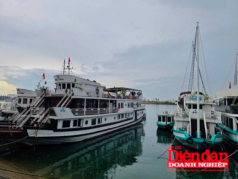 Nâng chất đội tàu du lịch tại Quảng Ninh