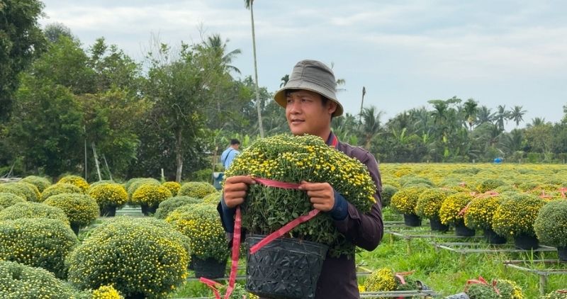 Du lịch cộng đồng thúc đẩy nông thôn mới kiểu mẫu Vĩnh Long