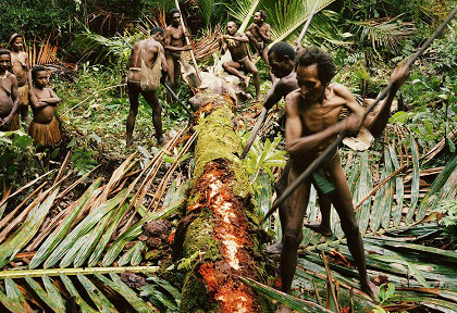 Bộ tộc nguyên thủy sống giữa rừng già ở Indonesia