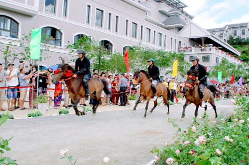 Lý do du khách yêu thích giải đua ngựa tại Fansipan
