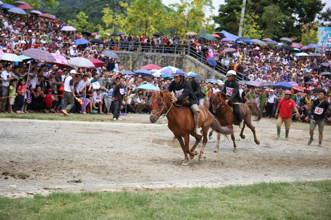 Lễ hội đua ngựa truyền thống vùng cao lần đầu tổ chức tại Fansipan