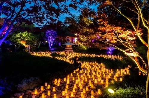 20.000 ngọn hoa đăng thắp sáng lễ hội mùa hè ở Nhật Bản