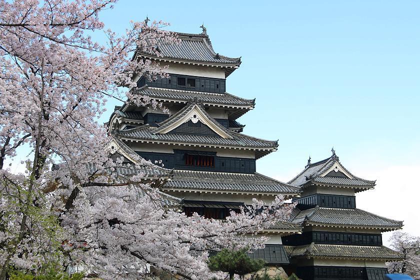 Bảo vật quốc gia hơn 400 năm tuổi của Nhật Bản