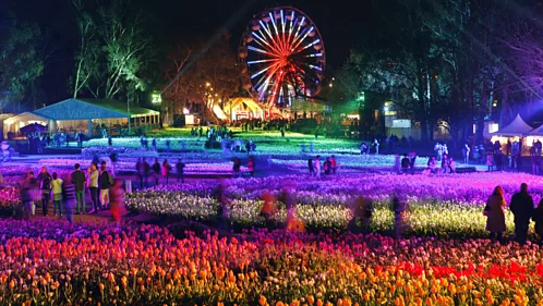 Lễ hội với hàng triệu bông hoa đua nở tại Australia