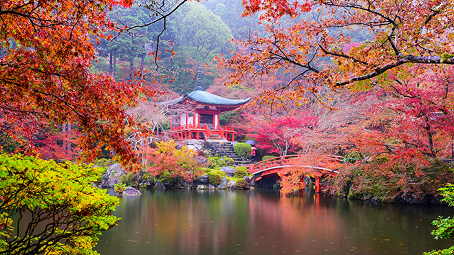 Cùng Vietrantour khám phá vẻ đẹp như tranh vẽ của mùa thu Nhật – Hàn