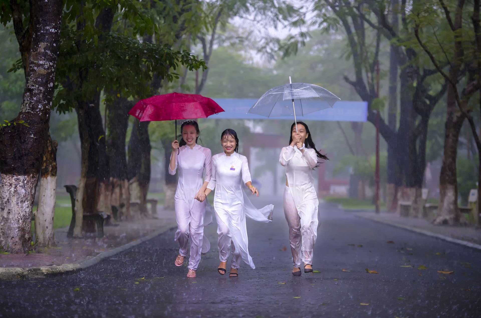 Khoảnh khắc mưa lãng mạn ở Huế