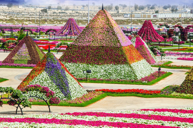 Bên trong vườn hoa lớn nhất thế giới nằm giữa sa mạc có gì đặc biệt?