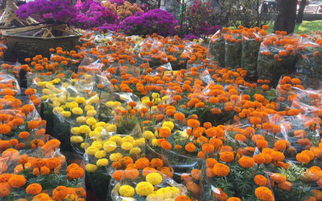 Chợ hoa Tết ở TP HCM đồng loạt mở cửa sáng 23 tháng Chạp