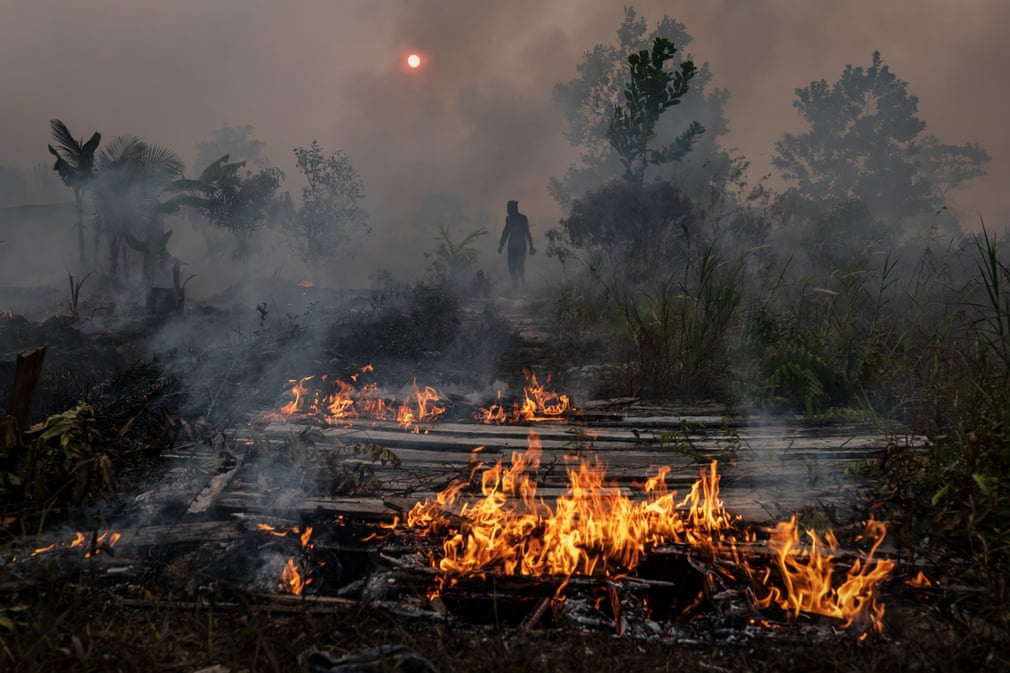 Băng tan, cháy rừng và sự tàn khốc của biến đổi khí hậu