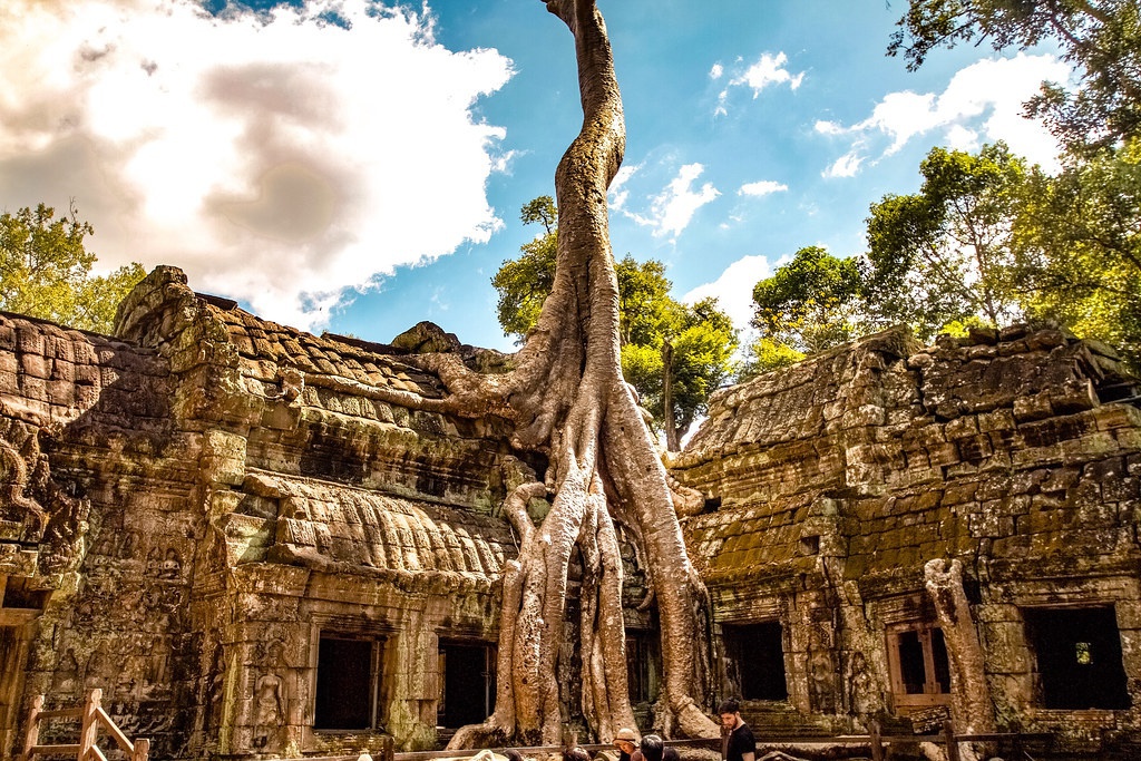 Những ngôi đền, chùa nằm dưới bộ rễ cây cổ thụ