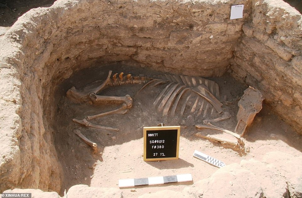 Ai Cập phát hiện 'thành phố vàng thất lạc' 3.000 năm tuổi
