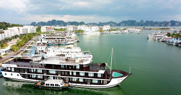Quảng Ninh không cấp phép hơn 170 tàu du lịch