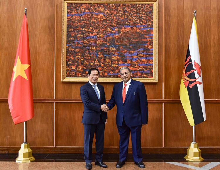 Việt Nam - Brunei bàn phương hướng tăng cường hợp tác