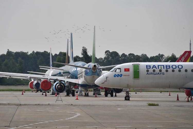 Bamboo Airways bay đúng giờ nhất ngành hàng không Việt Nam trong tháng 11/2022