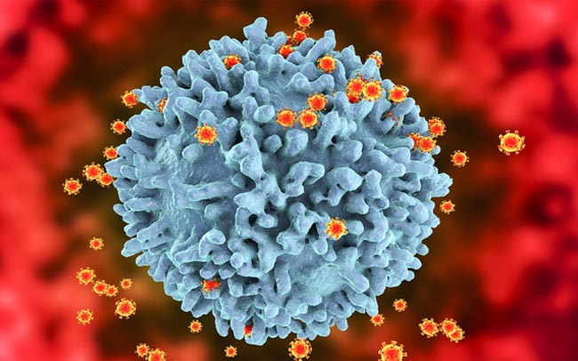 Ghi nhận hơn 500 biến thể SARS-CoV-2, Bộ Y tế khuyến cáo phòng COVID-19