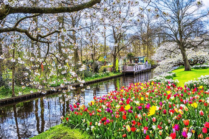 Vietravel “bùng nổ” lượng khách du lịch đến châu Âu thưởng lãm nét đẹp mùa xuân