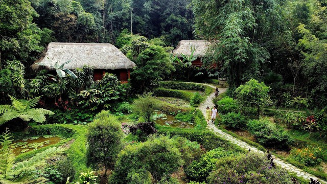 Top 5 địa điểm nghỉ dưỡng thân thiện, kết nối với thiên nhiên tại Việt Nam