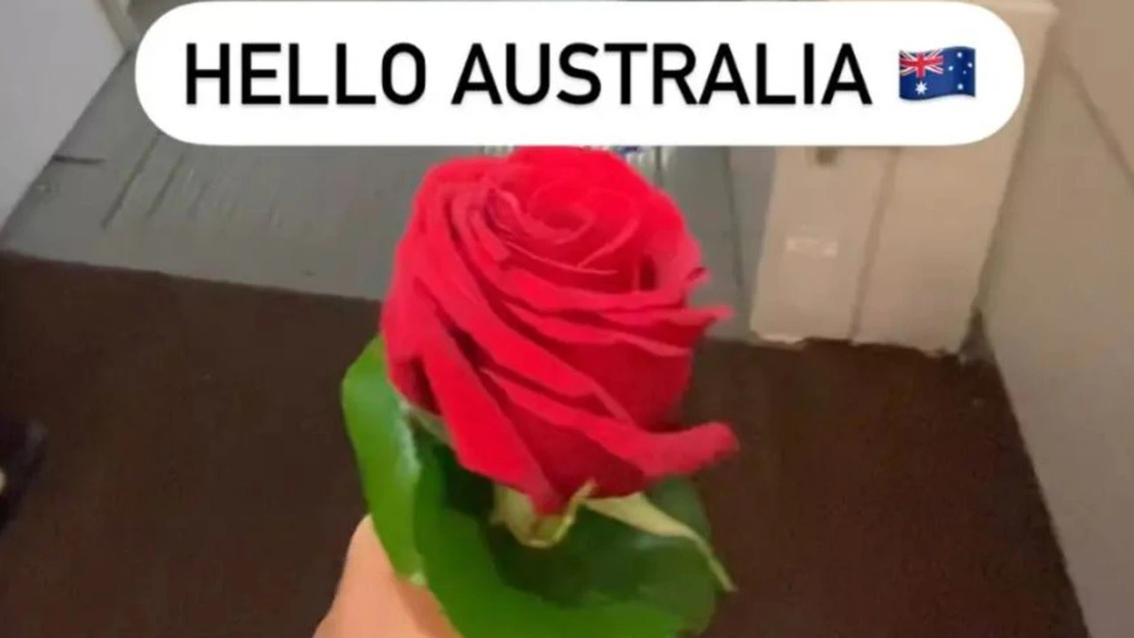 Ngỡ ngàng bị phạt hơn 1.200 USD ở Australia vì một bông hoa