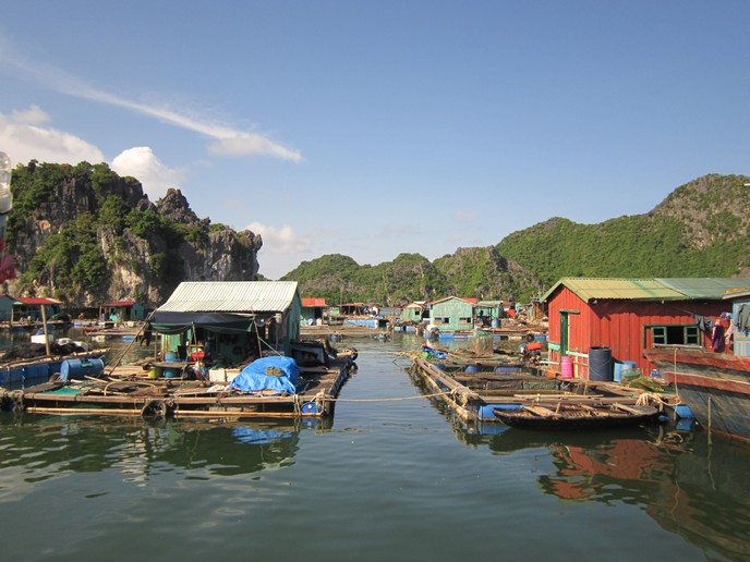 Hải Phòng: Làng chài Cái Bèo-một bảo tàng văn hóa biển