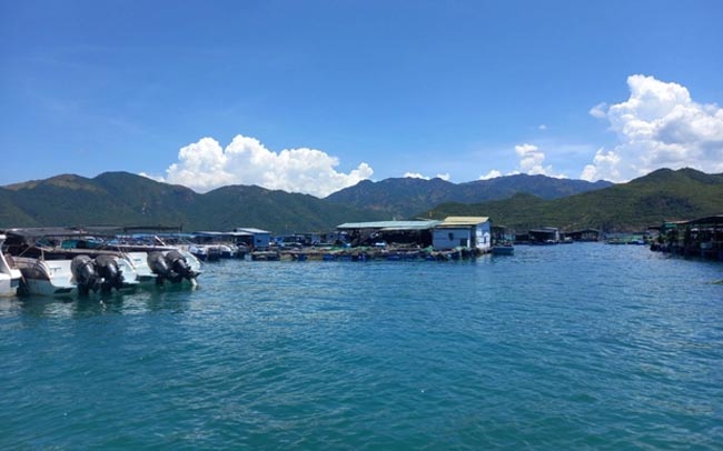 Tạm dừng hoạt động du lịch lặn biển tại một số khu vực trong vịnh Nha Trang
