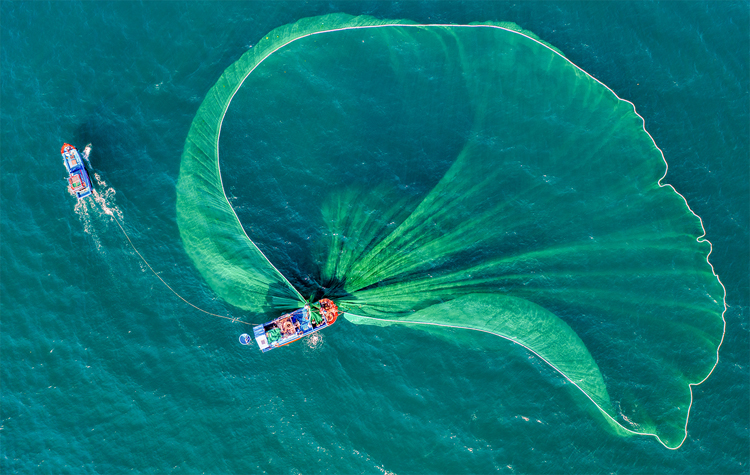Ảnh chụp tàu đánh cá thả lưới ở Phú Yên đoạt giải quốc tế 10.000 USD