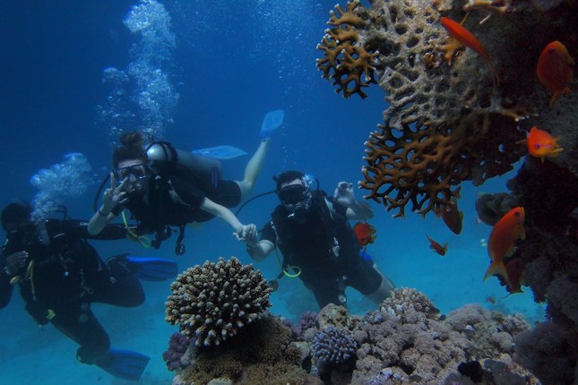 Ngắm rạn san hô lớn nhất thế giới vào mùa sinh sản