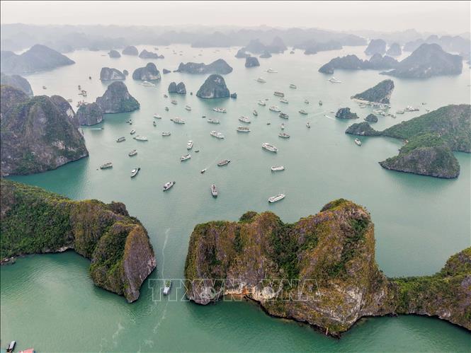 Quảng Ninh đẩy mạnh thu hút du lịch tàu biển